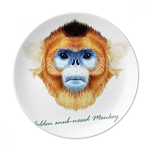 Rhinopithèque Singe Animal décoratifs en porcelaine Assiette à dessert 20,3 cm dîner Maison Cadeau