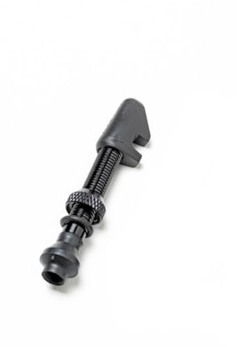 DT Swiss Unisex – Erwachsene Ventil Tubeless Cyl Nut Fahrradpumpe, schwarz, 1size