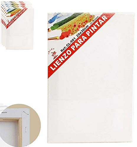 Set de 6 Lienzos 100% algodón 280g/m², tamaños a elegir, Lienzos Para Todo Tipo de Pintura Acrílica Óleo Acuarela (20 x 30 cm)