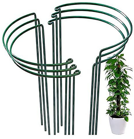 Pflanzenstütze Halbrund Metall, 6 Pcs Strauchhalter Garten, Strauchstütze Halbrund, Blumenstütze Rankhilfe, Pflanzenhalter Hortensien, Gartenrandstützen für Tomaten Rosen Blumenrebe Hortensien Ranken