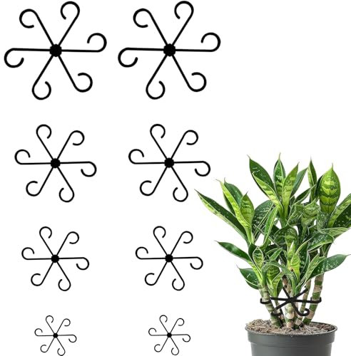 8 Stück Pflanzenstütze,Pflanzenhalter Staudenhalter,Pflanzenstützen für Zimmerpflanzen,Rankhilfe Monstera für Zimmerpflanzen,Blumen,Hortensien,Tomaten (4 Größen)