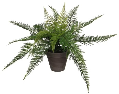 Mica decorations Farn Gruen in Topf Stan grau d13,5cm - h38cm