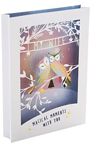 Hallmark Weihnachtskarte für Ehefrau – traditionelles 3D-Schattenbox-Design