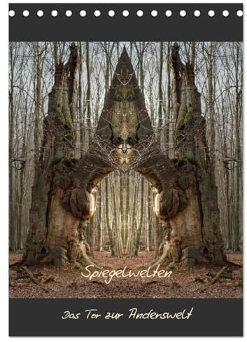 Spiegelwelten - Das Tor zur Anderswelt (Tischkalender 2026 DIN A5 hoch), CALVENDO Monatskalender: Einblick in die multidimensionale Welt der Natur (CALVENDO Kunst)