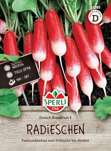 82085 Sperli Premium Radieschen Samen French Breakfast 3 | Schnellwüchsig | Milde Alte Sorte | Radieschen Saatgut