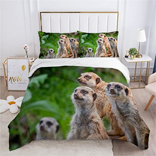 DONGSHAN Bettwäsche 135x200 Erdmännchen Bettbezug Set, Warme Weiche Mikrofaser Bettwäsche-Sets mit Reißverschluss - 1 Bettbezüge und Kissenbezug 80x80 cm