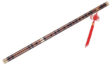 Fesjoy Musique Flûte à la main Dizi traditionnel chinois fait à la main Musique à Flûte Instrument