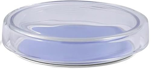 HAY Bits and Bobs Glasbehälter, niedrig, transparent und lila, 8 cm