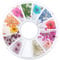 TEUOPIOE 12 Types Colorful Natural Dried Flowers Set Real Dry Flowers Nail Decoration Manicure Arts