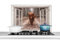 KitchenYeah© Küchenrückwand Platte Spritzschutz Küche Deko Aluminium Platte Wandschutz Küchen Zubehör WandverkleidungDurchsichtige - Schottisches Hochlandrind - Kuh - Fenster - Wald - 90x60 cm