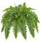 Hollyone Fougère de Boston artificielle en pot pour intérieur et extérieur, décoration d'intérieur, jardin, terrasse, balcon, salon - 64 cm