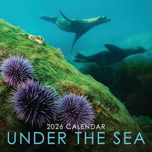 2026 Under the Sea Wandkalender zum Aufhängen, quadratisch, 30,5 x 30,5 cm, mit atemberaubender Unterwasser-Fotografie, kein Kunststoff, umweltfreundlich, Tages-, Wochen-, Monatsplaner für 12 Monate