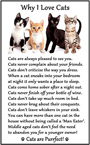 Magnets Why I Love Cats - Flexible Fridge 6 x 4- suitable for refrigerators, lockers, filing cabinets and other steel surfaces.