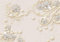 wandmotiv24 Fototapete 3D Effekt Blumen Ornamente Gold, XS 150 x 105cm - 3 Teile, Wanddeko, Wandbild, Wandtapete, Abstrakt Blüten M6098