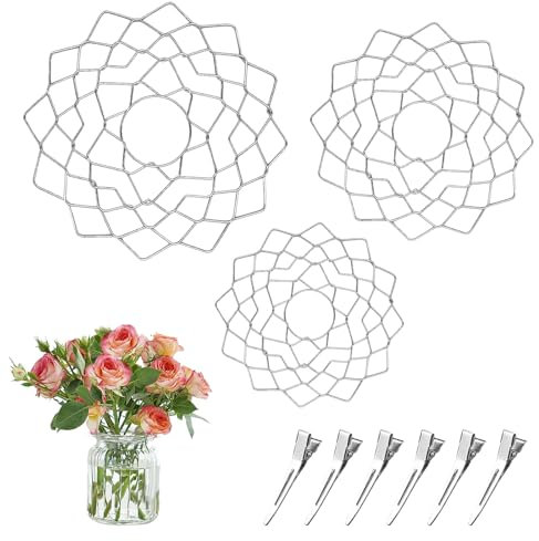 GIcGIeo Blumenigel Ikebana Stielhalter Blumenretter Blumen Set,Blumenraster Zubehör Floristikbedarf Pflanzen Kenzan Trenner für Blumenfrösche Edelstahl Vaseneinsätze Pflanzenfixierung 3 StüCk