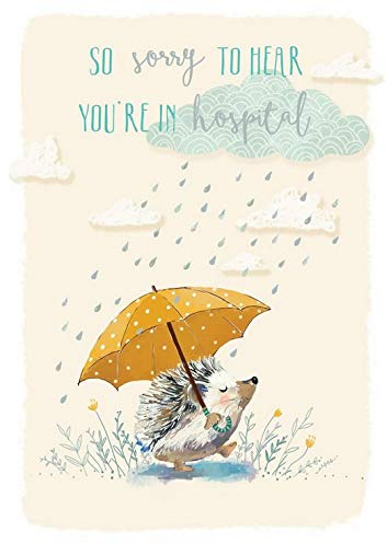 Ling Design Get Well Card (LD-GHM336) - Out For A Stroll - Hedgehog In Rain - From The Range - Foiled Finish