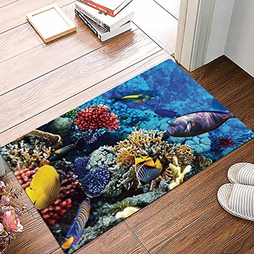 Badematte 50x80cm, Rutschfeste Badteppich, Ozean, wildes Leben im Meer Bunte Korallen und Fische im ägyptischen Meer Shar,Mikrofaser Badvorleger mit, Wasserabsorbierende Weiche teppiche für Badezimmer