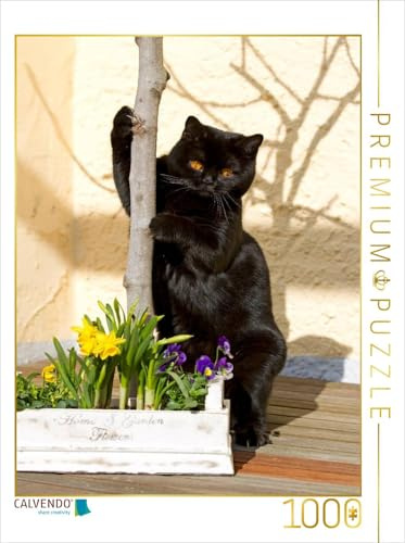 CALVENDO Puzzle EIN Bild aus dem Kalender Britisch Kurz | 1000 Teile Lege-Größe 48 x 64 cm Foto-Puzzle für glückliche Stunden