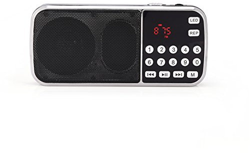 Diyeeni Y-501 Portables FM Radio 12H Laufzeit, Multifunktion Lautsprecher mit Großtasten, LCD Anzeige, USB/TF/FM/AUX Musik Player
