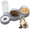 ToKinCen 3 in 1 Katzennäpf Hundenäpf,Futterschüssel Katze Hunde und Trinknapf,Futterstation für Katzen und Hunde,15° Geneigte Haustier Fressnapf für Nass und Trockenfutter oder auch Leckerlis(A)