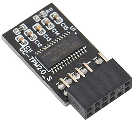 Módulo de Seguridad de Cifrado TPM2.0, Módulo de Seguridad de Cifrado de Tarjeta Remota de Interfaz SPI LPC de 12 Pines Compatible con Módulo Wind8.1/Win7/Win10 para Placa Base B550 B450 B460