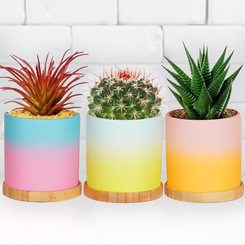 Funistree Kleine Blumentöpfe, Dankeschön-Geschenke für Lehrer, einzigartiges Geburtstagsgeschenk für Frauen, Geschenk für sie, Sukkulenten-Pflanzgefäße, Keramik-Kaktus-Töpfe, Weihnachtsstrumpffüller