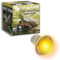 Tonia UVB 3.0 Lampe 25W und 50W – Sonnenlicht mit Vollspektrum für Reptilien und Amphibien (6, 25W)