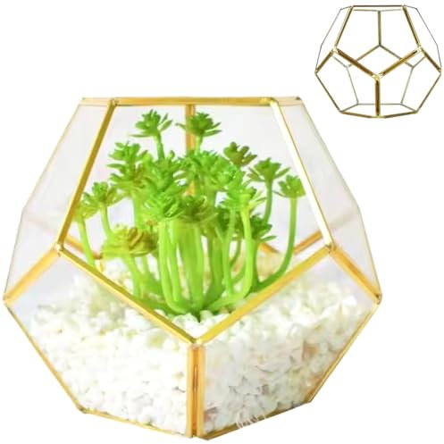 Terrarium de Plante en Verre, 7.1x7.1x5.5 '' Soudage pentagone Terrarium en Verre avec Porte, géométrique fermée pour Les Plantes de fougère Plantes en Laiton, Plante