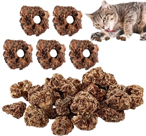 Cerioll Früchte als Katzenspielzeug für Katzen,20 Stück Matatabi Früchte Spielzeug für Katze,Katzens Früchtes Spielzeug,Zahnreinigung Dentales Essbares Kätzchenspielzeug Katzens Zahnreinigung