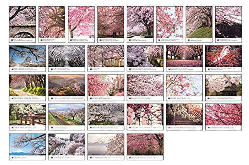 Klassischer japanischer Stil Schöne Romantische Postkarten 30 Stück, Kirschblüte