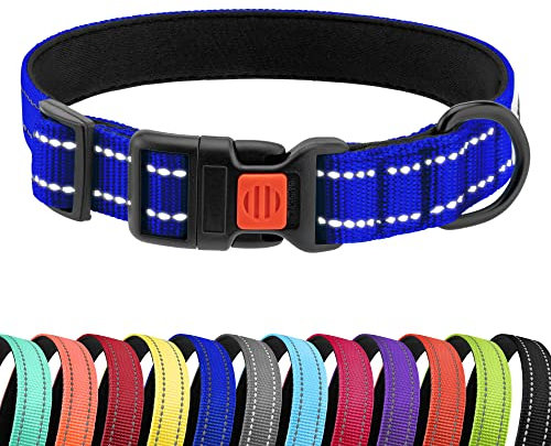 CollarDirect Reflektierendes Hundehalsband für kleinen, mittelgroßen, großen Hund, Welpen mit Schnellverschluss, Hündin, Rüde, 48 Sorten, Nylon Wasserfest