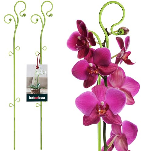 KOTARBAU® 2er Set Pflanzenstütze Grün PVC 58 cm Blumenstütze Rankhilfe Zimmerpflanzen Blumenstütze Garten Orchideenstab Stützstab Pflanzen dekorative Pflanzenhalter Zimmerpflanzen Rankstäbe