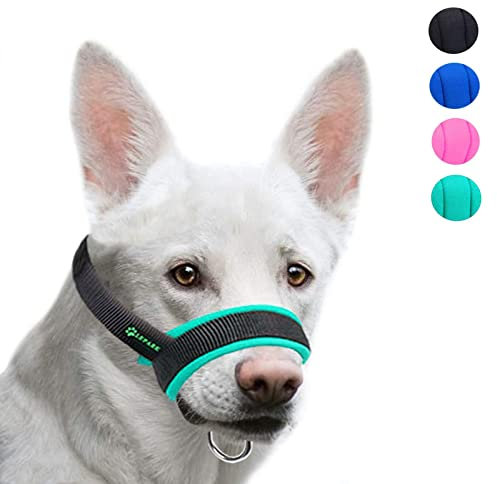 ILEPARK Maulkorb aus Stoff für Kleine,Mittlere und Große Hund,Verhindert Beisen, anpassbare Hals, Atmungsaktiv(XL,Grün)