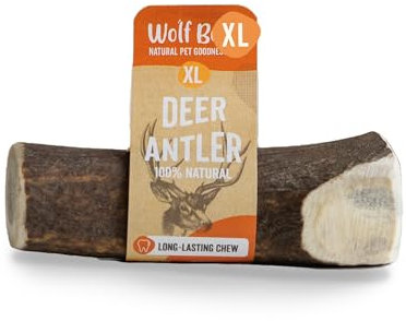 Wolf Belly - Masticativi Corno di Cervo per Cani (Taglia XL) Masticativi Naturali per Cani Duraturi, Osso di Cervo Lunga Durata, Giochi per Masticare, Reduze il tartaro e l'ansia