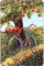 Bonoff Rust Bike Apple Tree Antique Rustic Plate Retro Advertising Garage Restaurant Vintage Decor Poster Wall Art Decor Metal Sign Poster 8X12 Inches