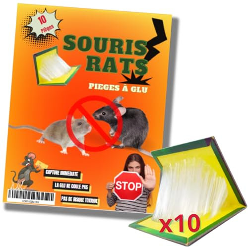 Piège a Souris Colle Plaque Collant Lot de 10 Pièces Attrape Anti Souris Rat plaques de Glue Grand Format