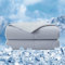 EMME Kühldecke Sommerdecke Kühlend - 200 x 210 cm Doppelseitig Kühlende Decke Arc-Chill Q-Max>0,45 Kühlende Bettdecke Dünne Steppdecke Cooling Blanket Kuscheldecke, Grau