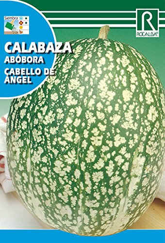 ROCALBA SEMILLA Calabaza Cab. Angel 10ud