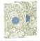 The Master Herbalist Fragrant FRESH LINEN Scented Wardrobe Freshener Sachets in a WILLIAM MORRIS Design in SAGE GREEN | Pack of 2