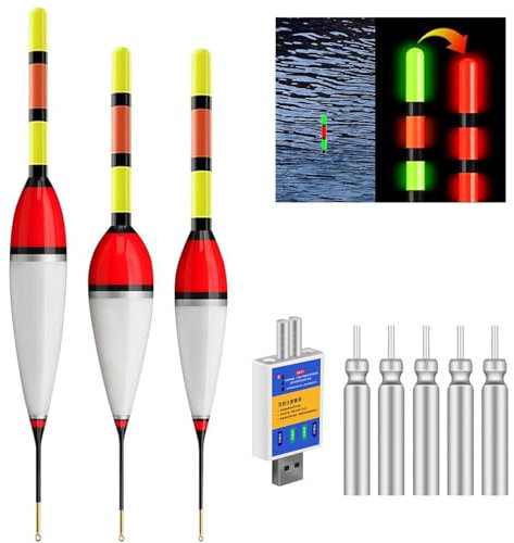 Flanliy Led Posen Angeln mit Bissanzeiger 6g/8g/9g Posen Angeln Smart Mit Gravity Sensing und Metall Basis Angel Zubehör Kann Tagsüber Und Nachts Zum Angeln Am See (A)