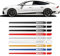 2 Stück Rennsportwagen Tür Seitenstreifen Rock Aufkleber Vinyl Aufkleber Zubehör, für Audi A3 A4 A5 A6 A7 Q2 Q3 Q5 RS3 RS4 RS5 TT
