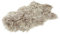 Reissner Lammfelle Naturform Tibetlammfell TP2 100x55cm Farbe Taupe JYC02
