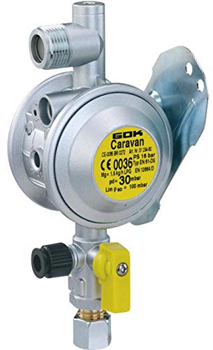 Wandregler mit Prüfventil 10mm Gasflasche Regler Gas Wohnwagen Camping Niederdruckregler Gasgerät