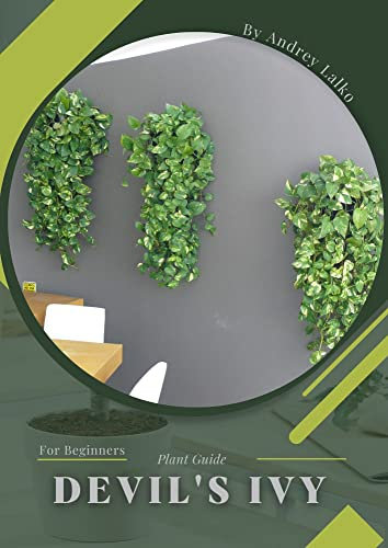Devil's Ivy: Plant Guide
