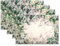 4 Piezas Manteles Individuales Lavables, Salvamanteles Individuales 45 x 30cm Mantel Individual para Cena, Almuerzo, Desayuno