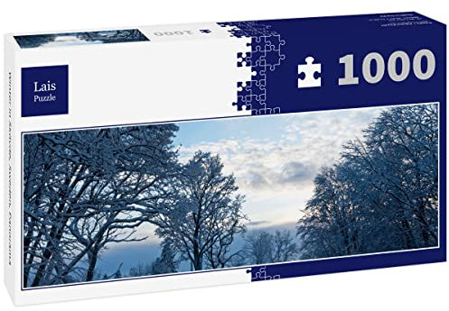 Lais Puzzle Winter in Skövde, Sweden, Panorama 1000 Teile