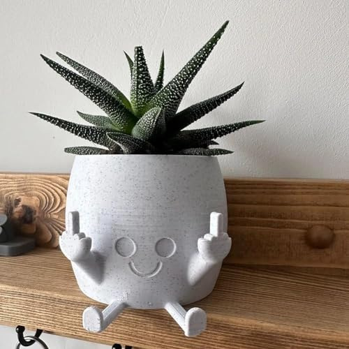 Vaso da fiori con dito medio, vaso per piante sorridenti con dita medie in alto, divertente vaso per piante grasse, decorazione per la casa, regalo per gli amanti delle piante