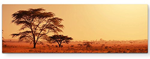 Leinwandbilder | Bilder Leinwand 150x50cm Köcherbaum in Namibia – Afrika