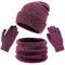 Ensemble bonnet, gants, écharpe, bonnet, bonnet, cache-cou, moufles pour homme et femme, violet, taille unique