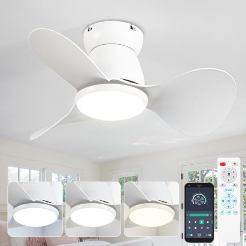 ycwdcz Small Ceiling Fans with Lamps Super Silent DC Ceiling Fans with Lights and Remote 6 Speeds Reversible 3 Blades 3 CCT, Mini Led Ceiling Fan for Small Bedroom Kids Room